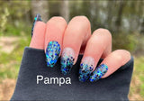 Pampa and Look a shooting star, make a wish Nail Dip Powder