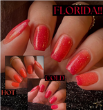 Florida!!! Nail Dip Powder