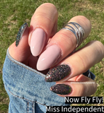 Now Fly! Fly! Nail Dip Powder