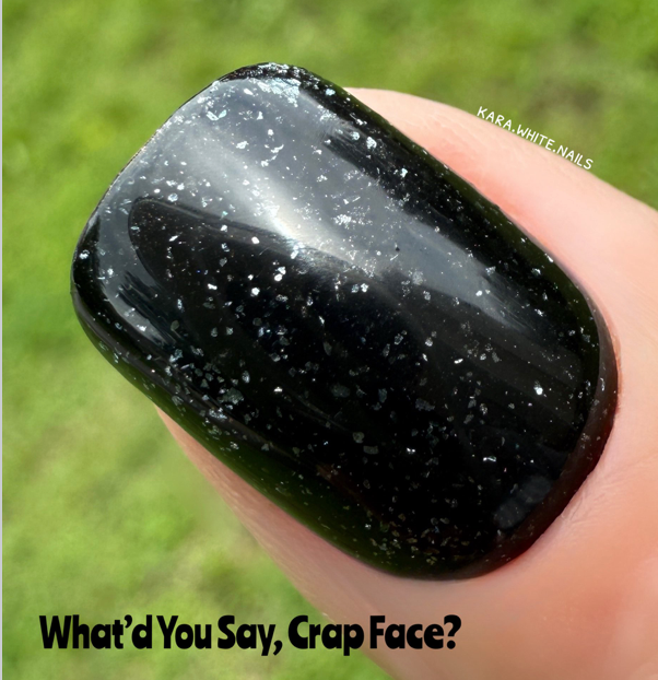 What'd You Say, Crap Face? Nail Dip Powder – OG Dip Powder