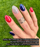 We Will Not Go Quietly Into The Night! and We Will Not Vanish Without A Fight! Nail Dip Powder