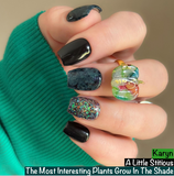 Karyn Nail Dip Powder